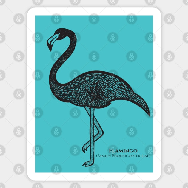 Flamingo with Common and Scientific Names - detailed bird design Sticker by Green Paladin